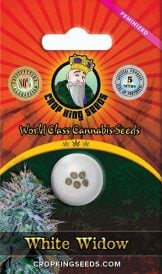 White Widow Strain Feminized Marijuana Seeds