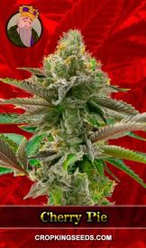 Cherry Pie Feminized Marijuana Seeds