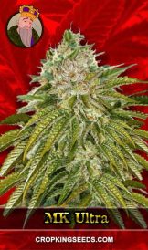 MK Ultra Feminized Marijuana Seeds