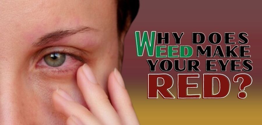 why does weed make your eyes red