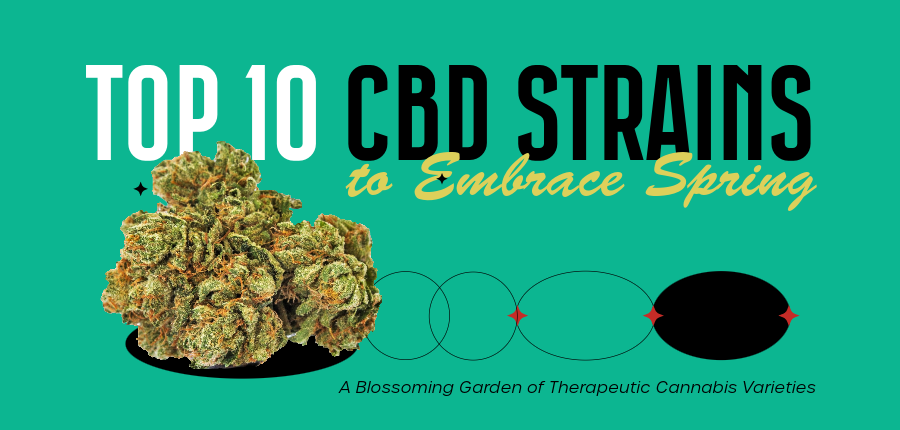 CBD Strains